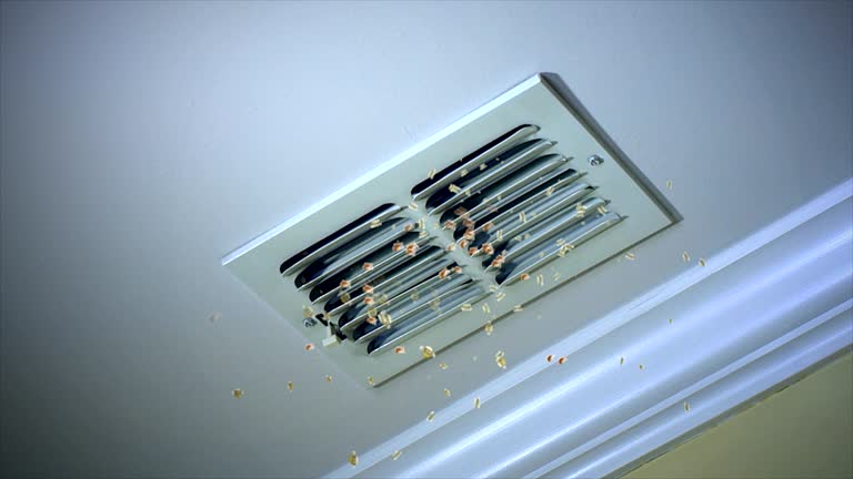 Best Affordable HVAC Duct Cleaning  in Onalaska, TX