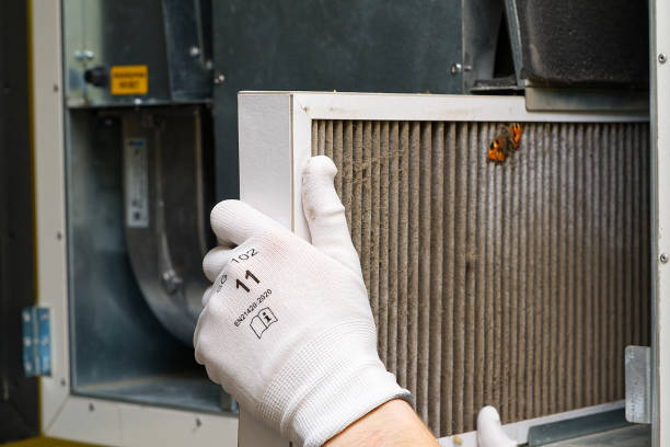 Best Dryer Vent Cleaning Services  in Onalaska, TX